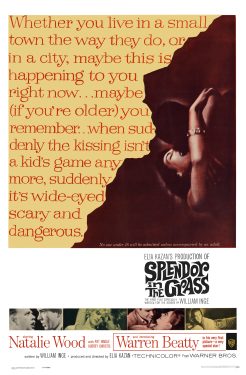 Splendor in the Grass 1961