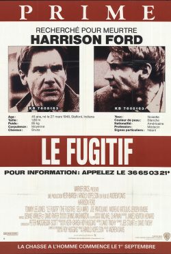 دانلود فیلم The Fugitive 1993 با زیرنویس فارسی چسبیده