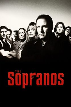 دانلود رایگان سریال The Sopranos 1999 با زیرنویس فارسی چسبیده