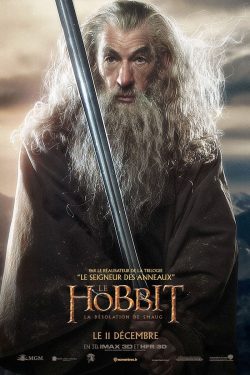 The Hobbit: The Desolation of Smaug 2013