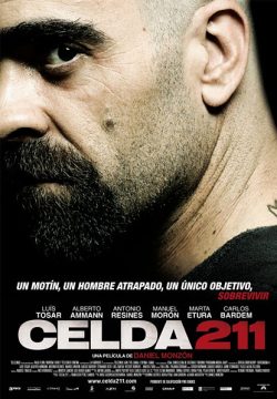 Cell 211 2009