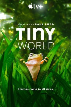 Tiny World 2020