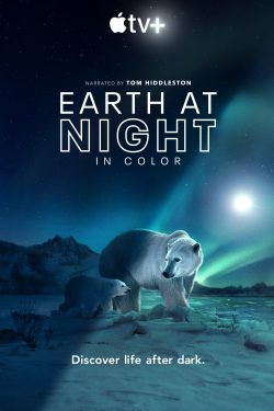 Earth at Night in Color 2020