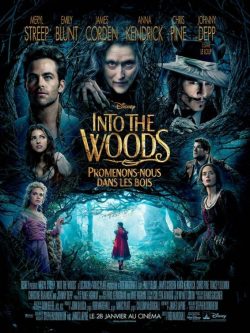 دانلود فیلم Into the Woods 2014 با زیرنویس فارسی چسبیده