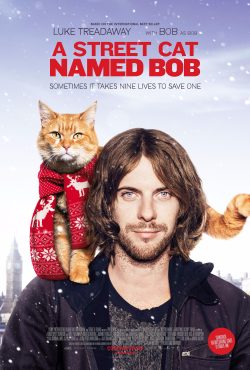 دانلود فیلم A Street Cat Named Bob 2016 با زیرنویس فارسی چسبیده