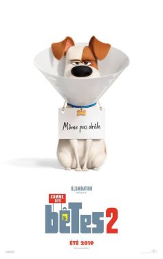 دانلود فیلم The Secret Life of Pets 2 2019 با زیرنویس فارسی چسبیده