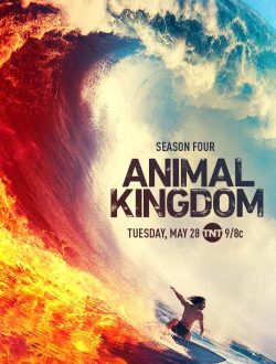 دانلود رایگان سریال Animal Kingdom 2016 با زیرنویس فارسی چسبیده