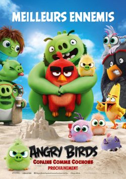 دانلود فیلم The Angry Birds Movie 2 2019 با زیرنویس فارسی چسبیده