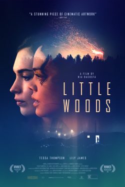 دانلود فیلم Little Woods 2018 با زیرنویس فارسی چسبیده