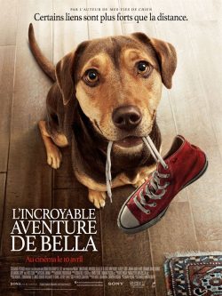 دانلود فیلم A Dog's Way Home 2019 با زیرنویس فارسی چسبیده