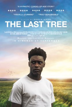 The Last Tree 2019